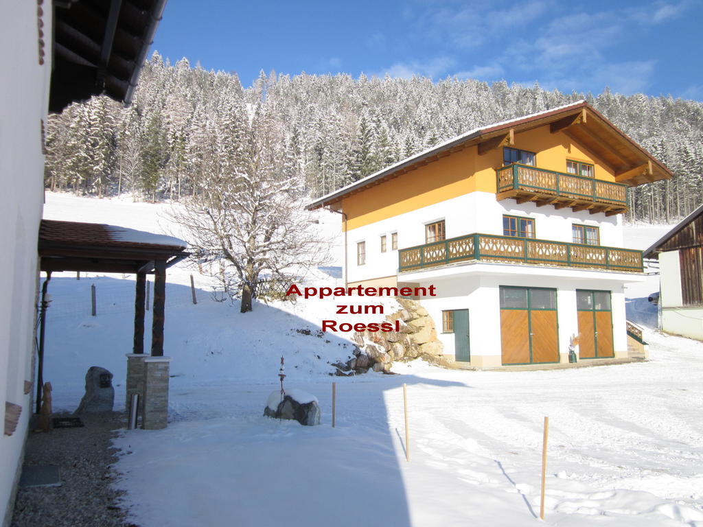 Appartement Zum Roessl Ramsau am Dachstein Szoba fotó