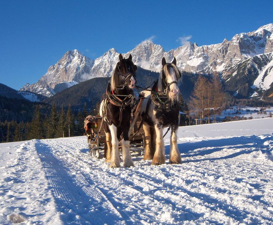 Appartement Zum Roessl Ramsau am Dachstein Kültér fotó